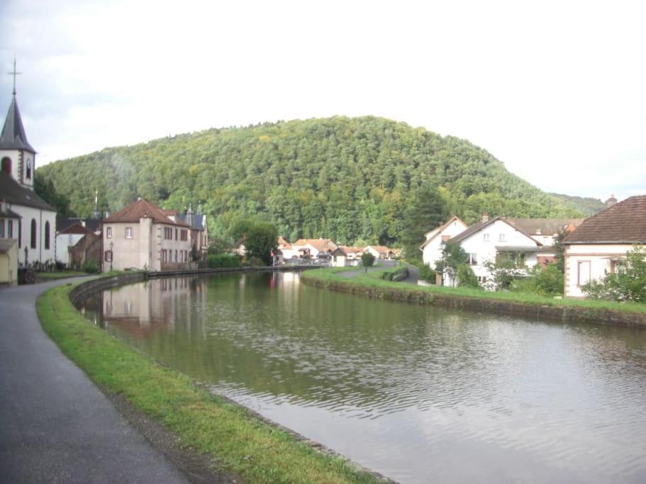 Gite Du Chateau Lutzelbourg المظهر الخارجي الصورة
